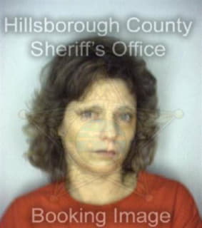 Allen Lisa - Hillsborough County, Florida 