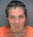 Gonzalez-Sotomayor Luz - Pinellas County, Florida 