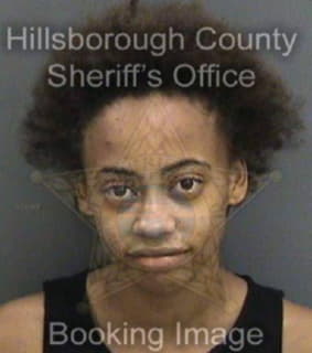 Ozuna Michelle - Hillsborough County, Florida 