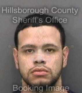 Apontemartinez Joshua - Hillsborough County, Florida 