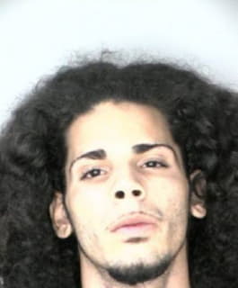 Ruiz Manuel - Hillsborough County, Florida 