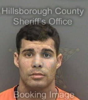 Disotuargarcia Raidel - Hillsborough County, Florida 