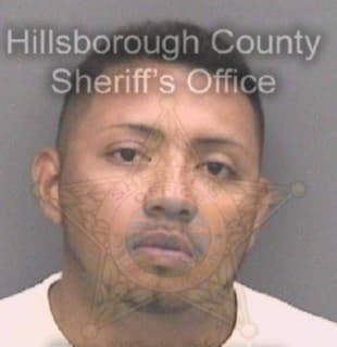 Rodriguezgarcia Luis - Hillsborough County, Florida 