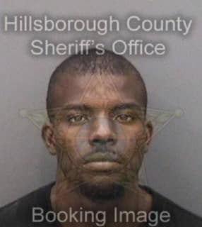 Leggett Michael - Hillsborough County, Florida 