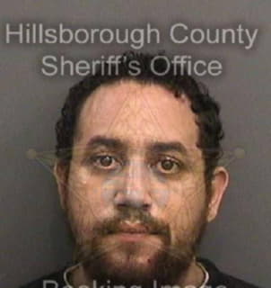 Martinez William - Hillsborough County, Florida 