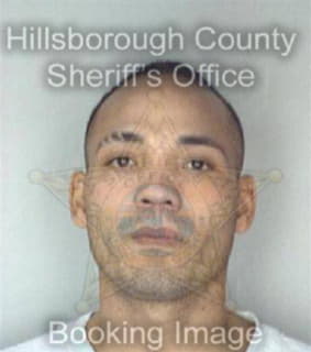 Dejesus Jose - Hillsborough County, Florida 