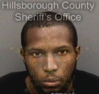 Lewis Christopher - Hillsborough County, Florida 