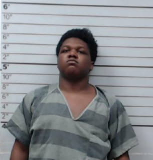 Williams Deondra - Lee County, Mississippi 