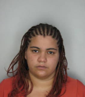 Melendez Irene - Hillsborough County, Florida 