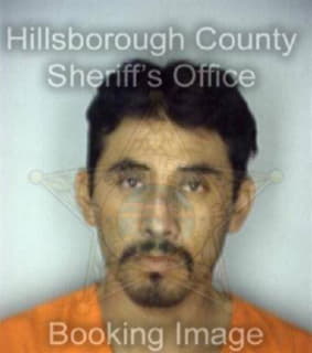 Dominguez Jose - Hillsborough County, Florida 