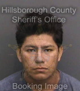 Hernandez Carmelo - Hillsborough County, Florida 