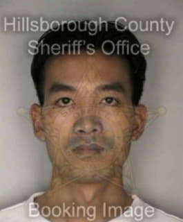 Nguyen Jeffrey - Hillsborough County, Florida 