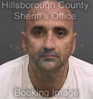 Lazarevic Aleksandar - Hillsborough County, Florida 