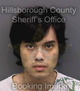 Roman Nelson - Hillsborough County, Florida 