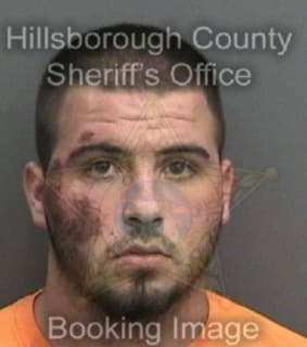 Kinkade Troy - Hillsborough County, Florida 