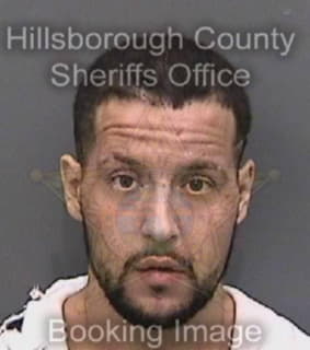 Arango Marlon - Hillsborough County, Florida 