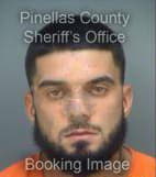 Rossi Michael - Pinellas County, Florida 