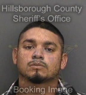 Lopezramirez Daniel - Hillsborough County, Florida 