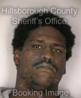 Johnson Emanuel - Hillsborough County, Florida 