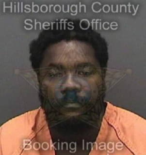 Desir Gelin - Hillsborough County, Florida 