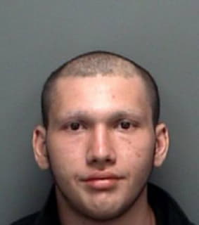 Hartley Shane - Pinellas County, Florida 