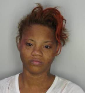 Robinson Tanisha - Hillsborough County, Florida 