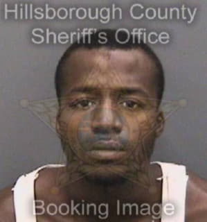 Cochran Charles - Hillsborough County, Florida 