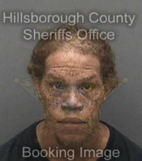 Deramus Daren - Hillsborough County, Florida 