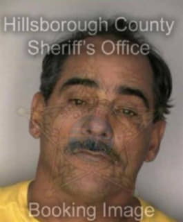 Alfonso Mario - Hillsborough County, Florida 