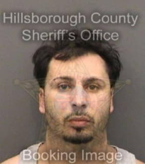 Rodriguez Matthew - Hillsborough County, Florida 