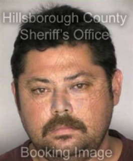 Lozano Amos - Hillsborough County, Florida 