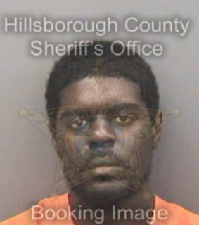 Rivero Jose - Hillsborough County, Florida 