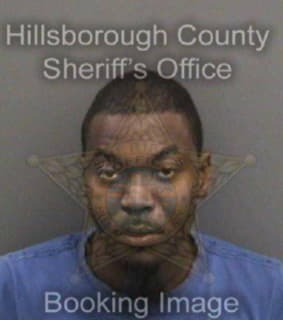 Williams Tyrece - Hillsborough County, Florida 