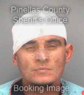 Mendes Aramis - Pinellas County, Florida 