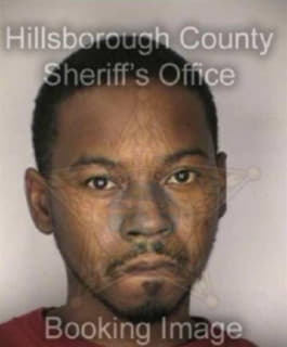 Diggs Eric - Hillsborough County, Florida 