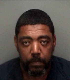 Haynes Darrel - Pinellas County, Florida 