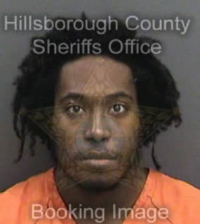 Allen Gabriel - Hillsborough County, Florida 