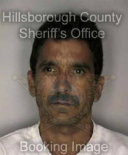 Hernandez Michael - Hillsborough County, Florida 