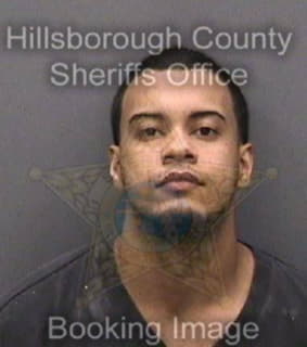 Casanovajorge Jesus - Hillsborough County, Florida 