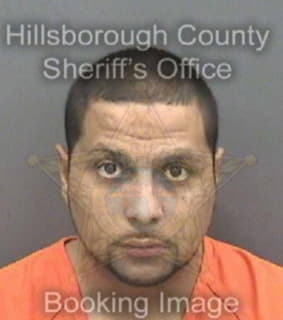 Wiesenberg Paul - Hillsborough County, Florida 