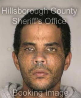 Oliveras George - Hillsborough County, Florida 