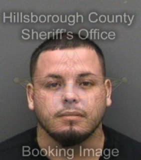 Rodriguez Jaime - Hillsborough County, Florida 