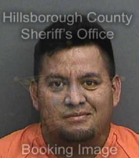 Martinezramirez Juan - Hillsborough County, Florida 