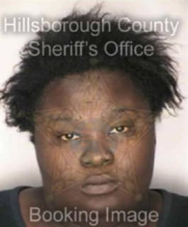 Desue Michelle - Hillsborough County, Florida 