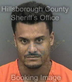 Ortiz-Ortiz Richard - Hillsborough County, Florida 