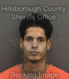 Blanco-Romero Adrian - Hillsborough County, Florida 