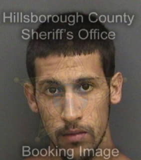 Ruiz Steven - Hillsborough County, Florida 