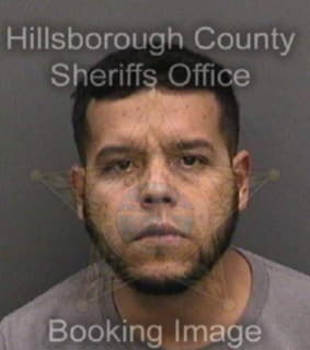 Davilasoto Edwin - Hillsborough County, Florida 