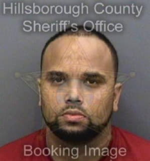 Carey James - Hillsborough County, Florida 