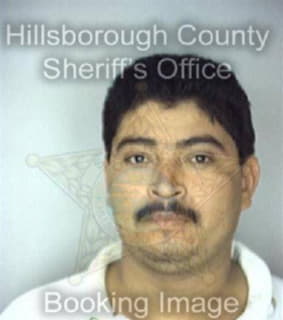 Martinez Rigoberto - Hillsborough County, Florida 